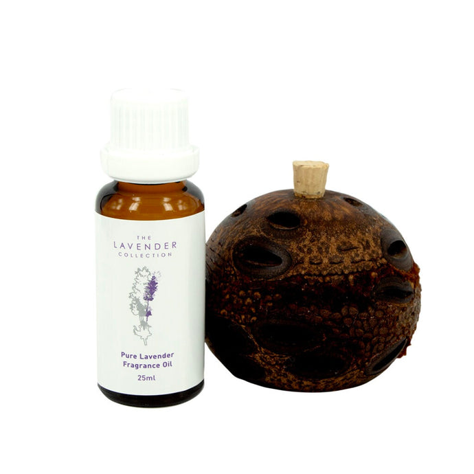 Banksia Diffuser Pack